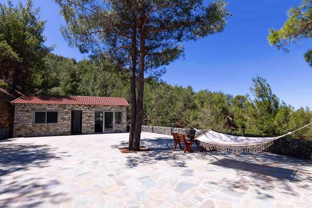 Αιώρα δεμένη δίπλα στο πεύκο, στην ευρύχωρη πλακόστρωτη βεράντα μπροστά από το πέτρινο σπίτι